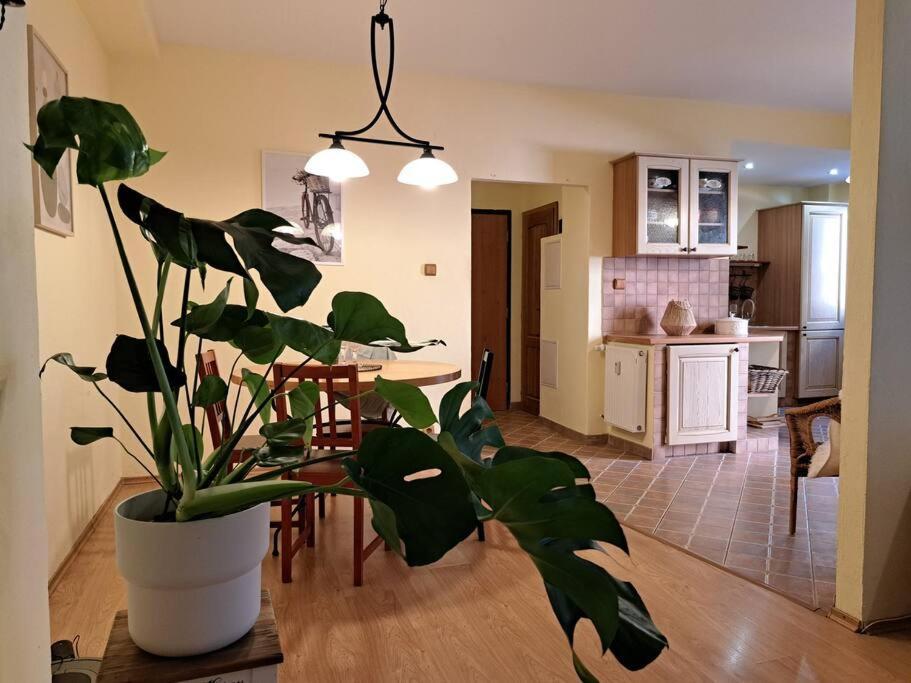 Appartement In The Heart Of The Bratislava