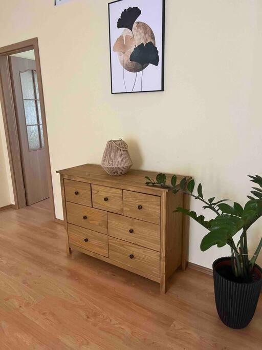 In The Heart Of The Appartement *